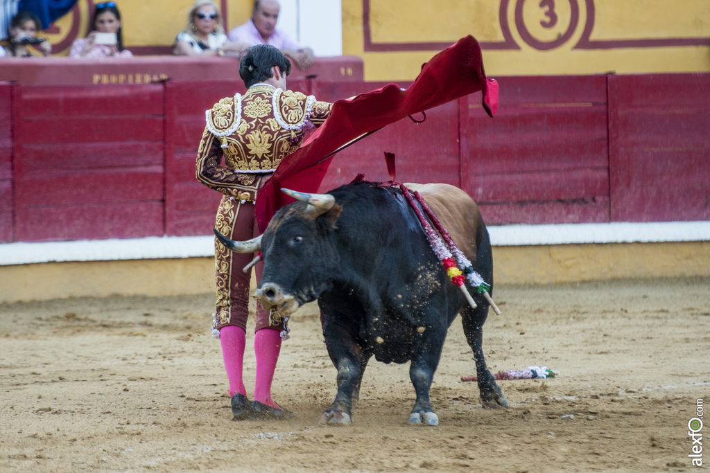 Garrido, toros San Juan 2016 7