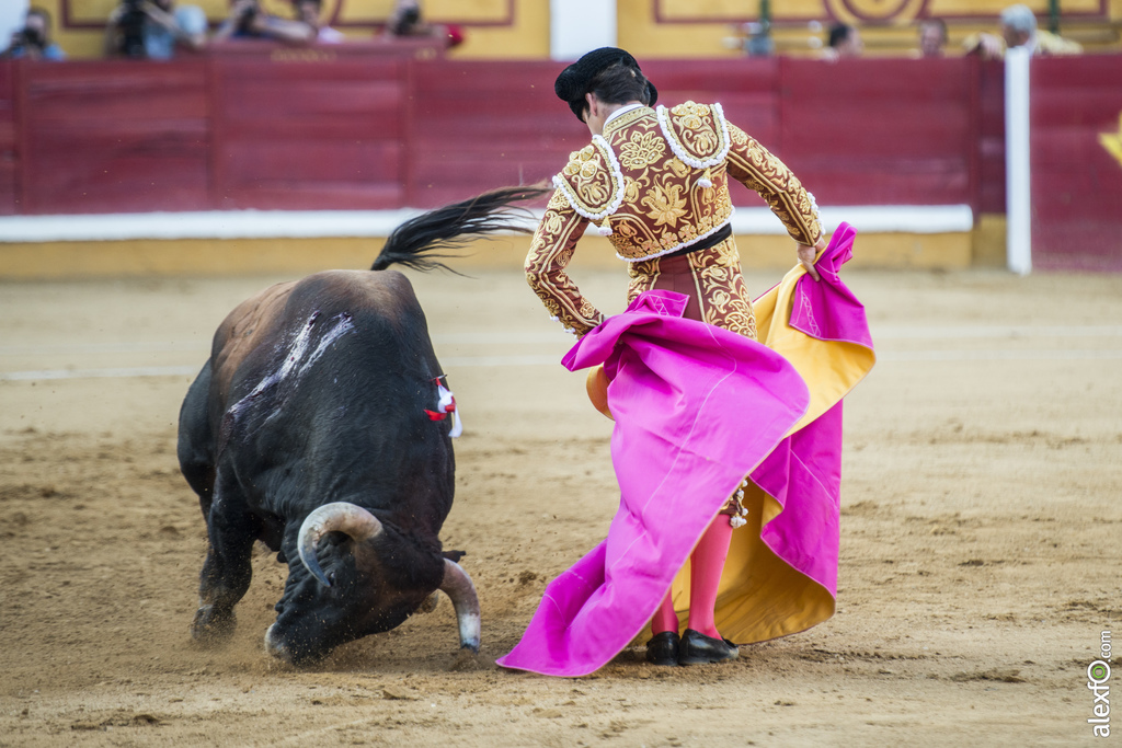 Garrido, toros San Juan 2016 4