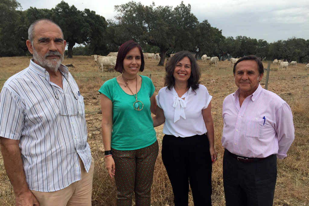 Las Diputaciones de Cáceres y Cádiz intercambian experiencias en el sector agroganadero