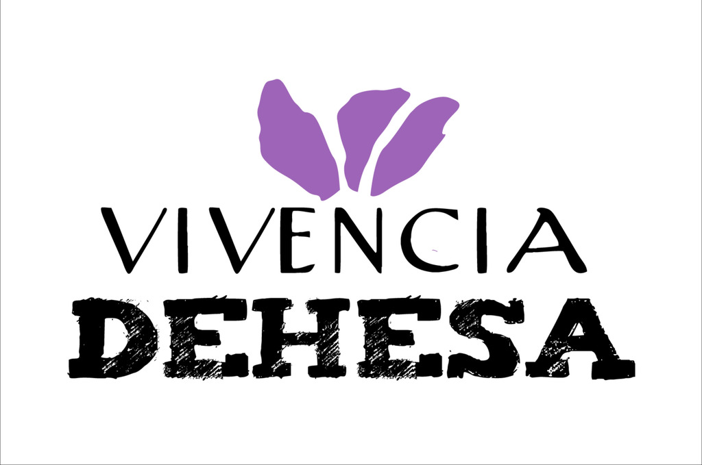 Logo Vivencia cuadrado