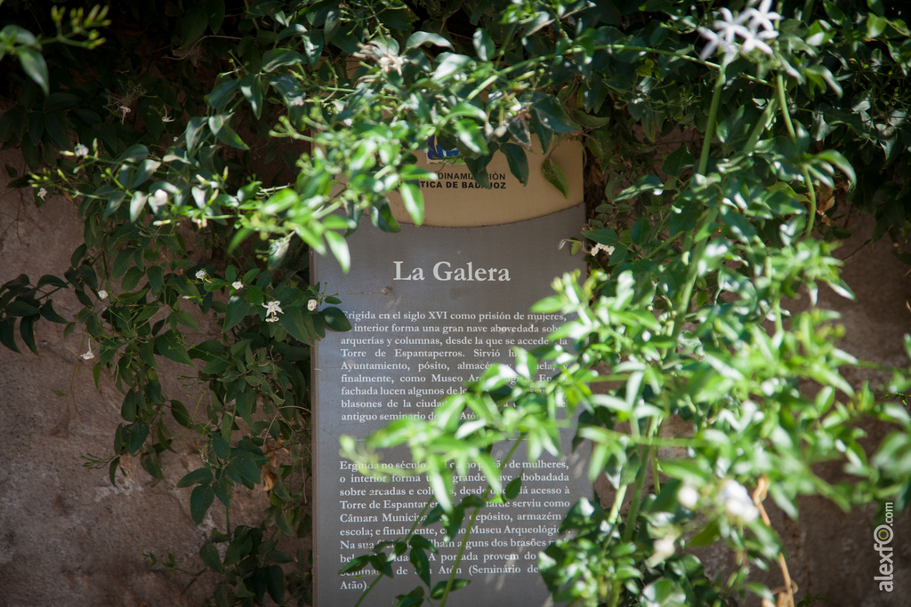 Jardines de la Galera Badajoz