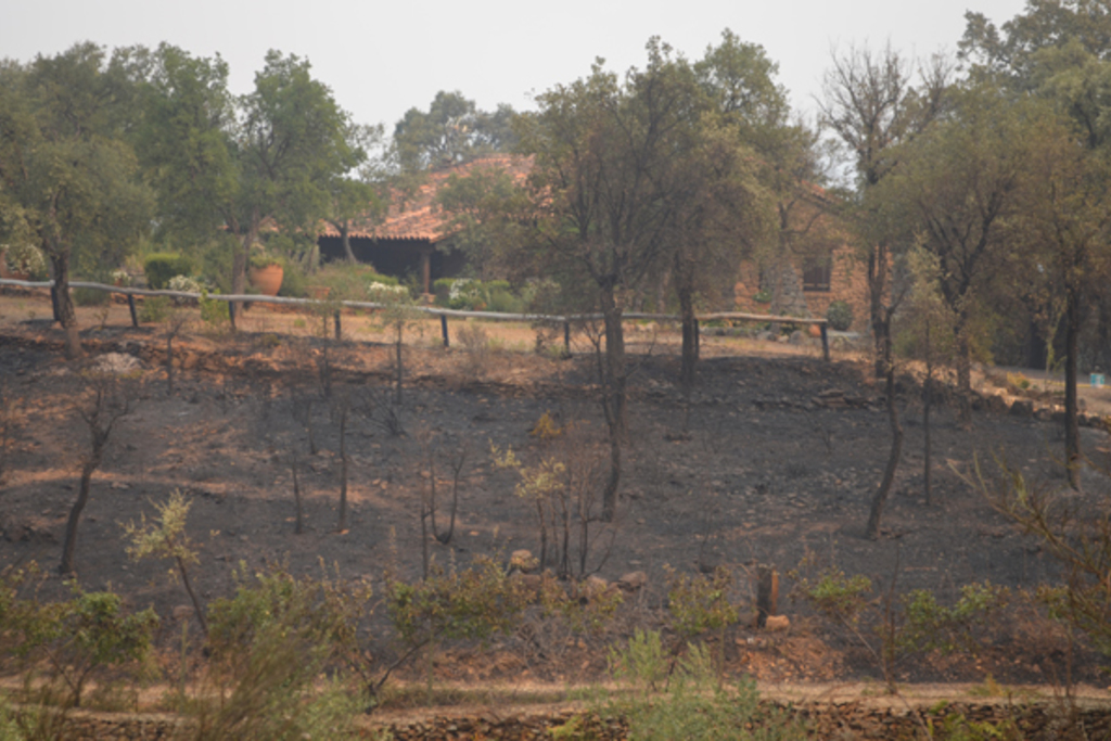La Junta de Extremadura pone en marcha una ronda de reuniones para la recuperación de la zona de la Sierra de Gata afectada por el incendio