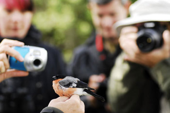 Extremadura acoge la decima conferencia europea de ornitologos que reune en badajoz a mas de 450 exp normal 3 2