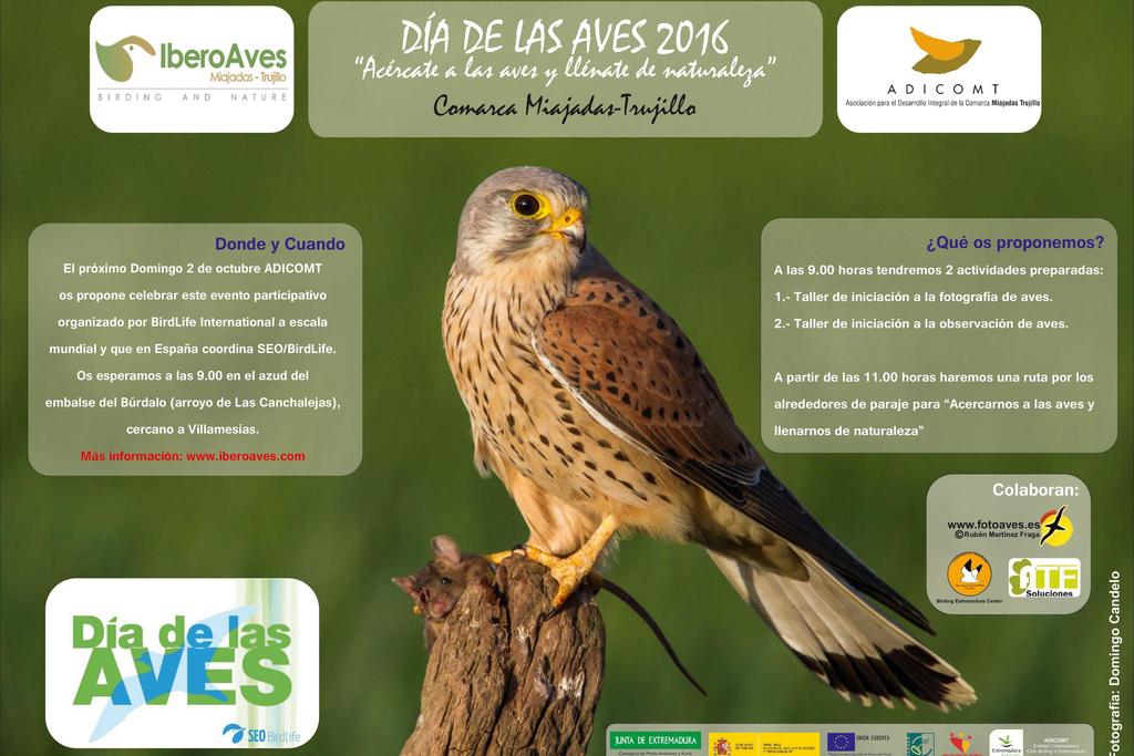 ADICOMT celebrará el Día de las Aves 2016 en el azud del Embalse del Río Búrdalo