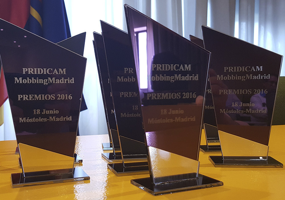 Premios Pridicam web