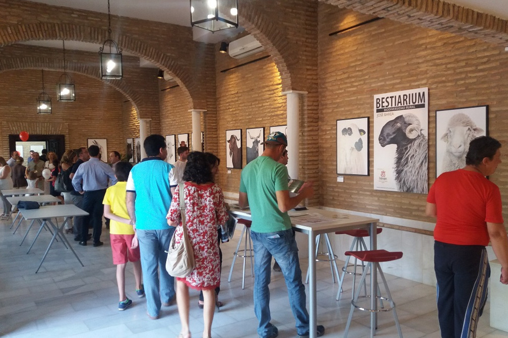 Éxito de participación en las actividades del pabellón de exposiciones de la Diputación de Badajoz en la Feria de Zafra