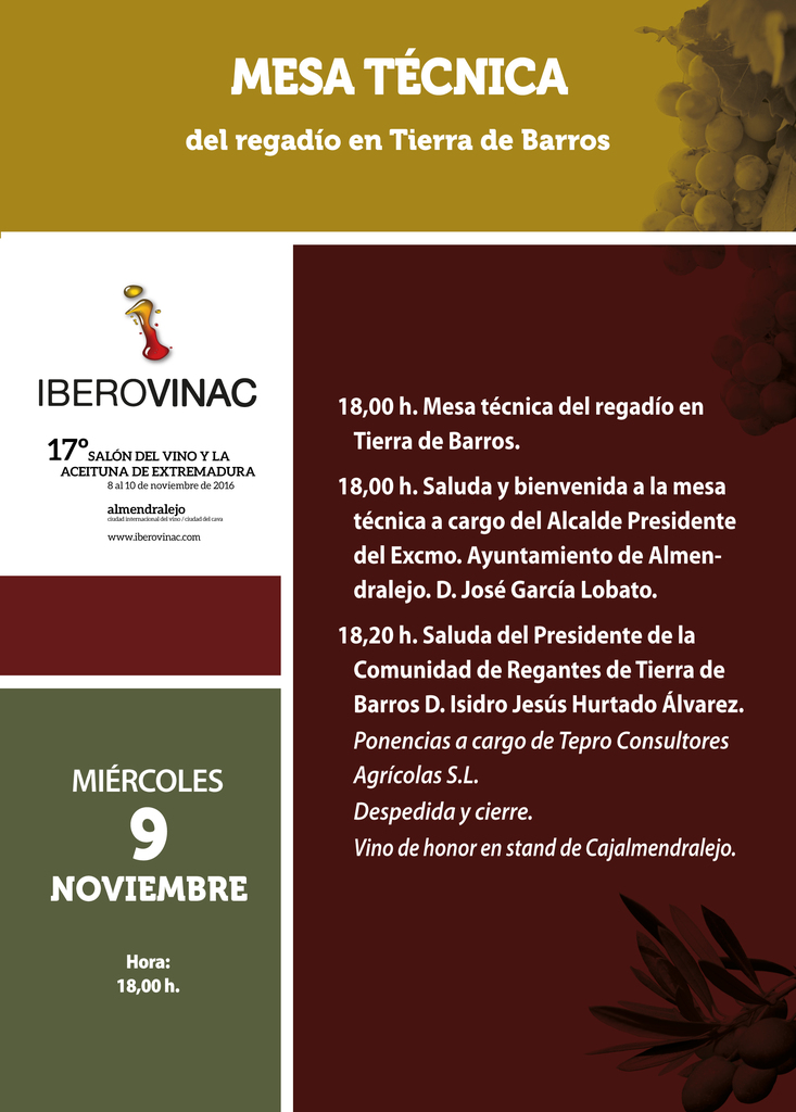 Iberovinac 2017   Salón del Vino y la Aceituna #Extremadura 473