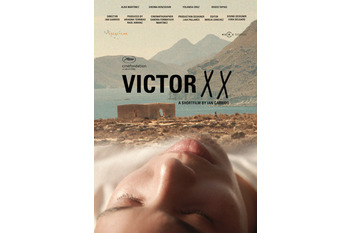 Victor xx normal 3 2
