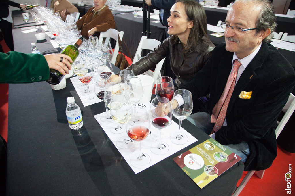 Mario Louro - Cata de " Vinos ibéricos " - Iberovinac enoturismo 2015 - Almendralejo 28112015-IMG_8250