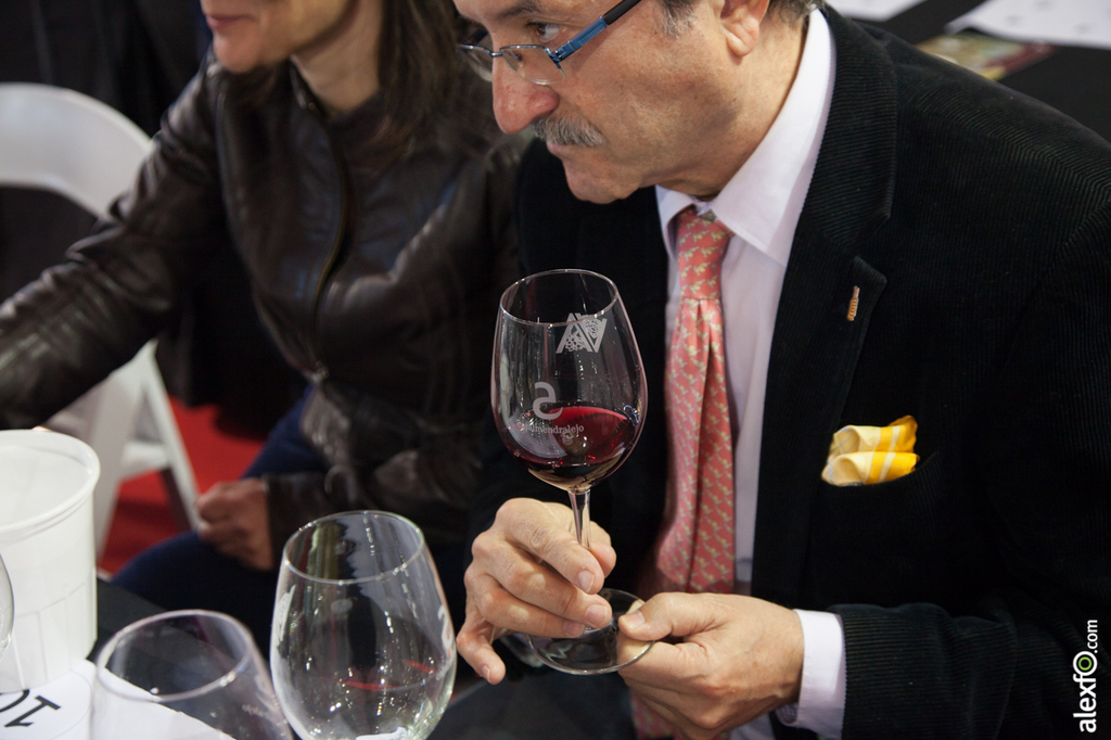 Mario Louro - Cata de " Vinos ibéricos " - Iberovinac enoturismo 2015 - Almendralejo 28112015-IMG_8251