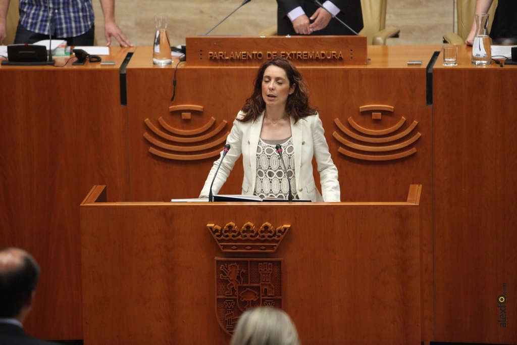 Diputados del IX Legislatura de la Asamblea de Extremadura IMG_1853_Virginia Albarredi