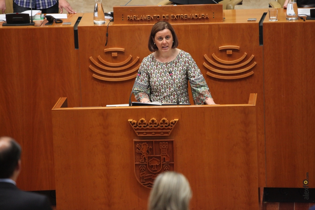 Diputados del IX Legislatura de la Asamblea de Extremadura IMG_1861_Magdalena Carmona