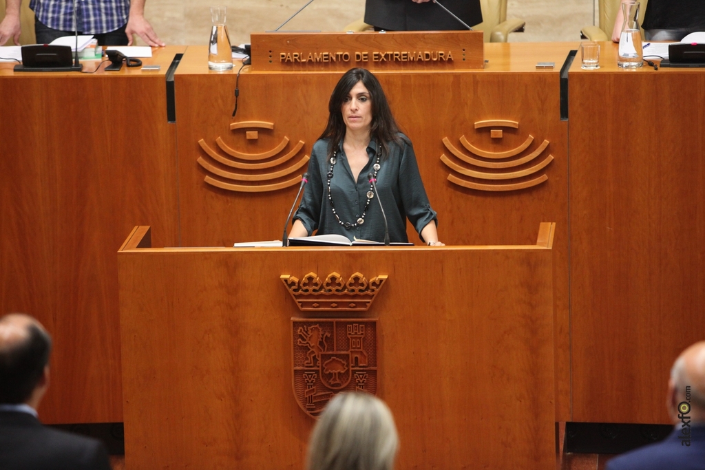Diputados del IX Legislatura de la Asamblea de Extremadura IMG_1873_Ana Belén Fernandez Glez