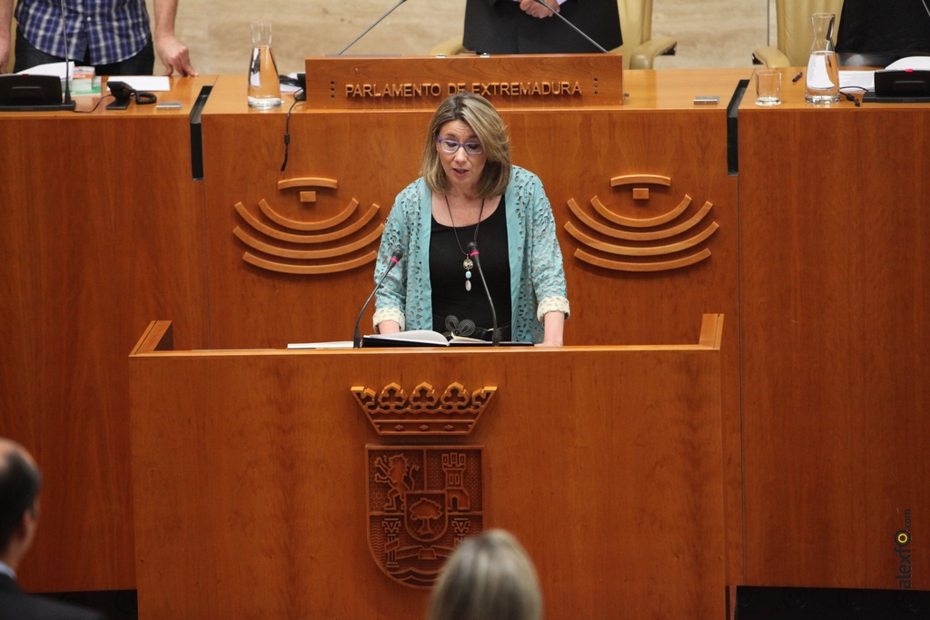 Diputados del IX Legislatura de la Asamblea de Extremadura IMG_1978_Cristina Teniente