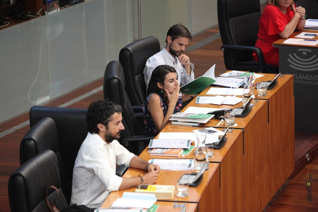 Constitución de la Asamblea de Extremadura para la IX Legislatura IMG_2010