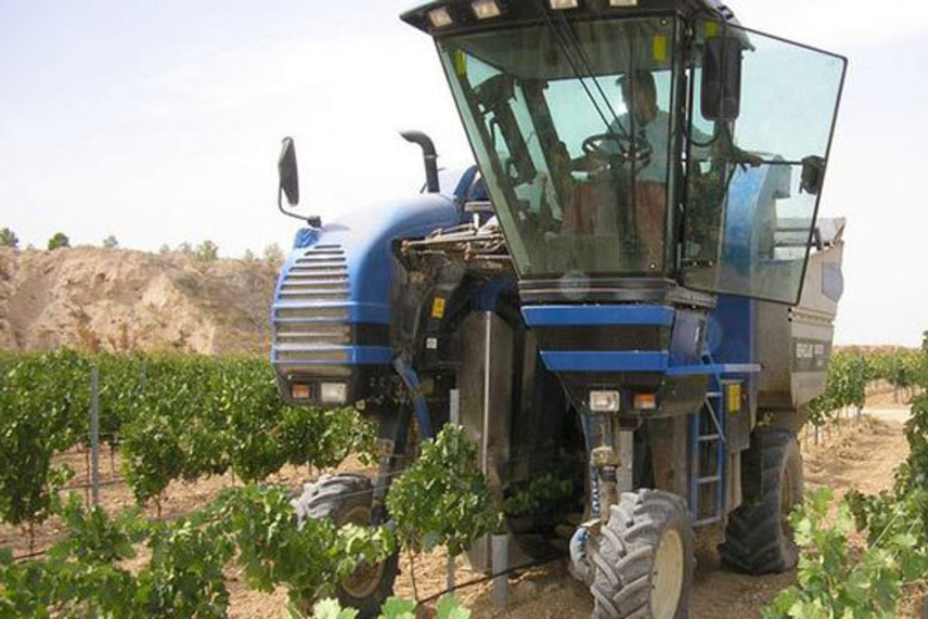 Begoña García indica que el Ministerio de Agricultura creará un grupo de trabajo sobre la reconversión del viñedo