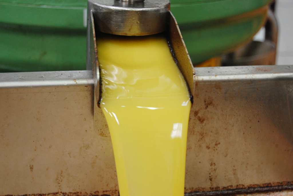 Almazaras extremeñas muestran la calidad del aceite de oliva virgen extra a compradores internacionales en la WOOE