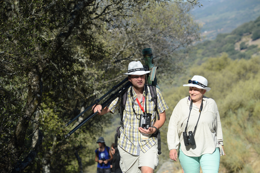 Birdwatching Monfrague - Conferencia Internacional Ornitólogos - Badajoz 2015 DSC_4840