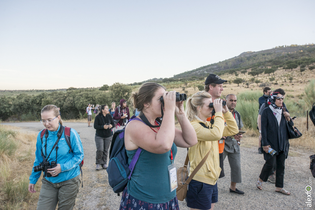 Birdwatching Tajo Internacional - Conferencia Internacional de Ornitólogos - Badajoz 2015 JV Tajo internacional-3