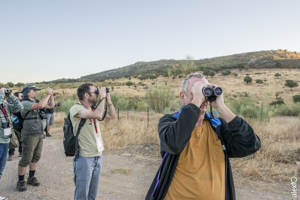 Birdwatching Tajo Internacional - Conferencia Internacional de Ornitólogos - Badajoz 2015 JV Tajo internacional-5