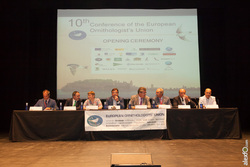Apertura - inauguración de X Conferencia Internacional Ornitología de la UEO conferencia ornitologia extremadura-3968