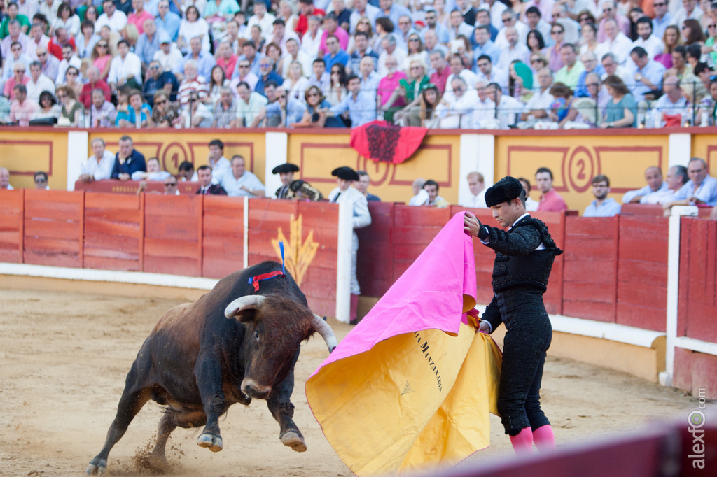 Jose María Manzanares - Toros Badajoz Feria de San Juan 2015 _44X1527
