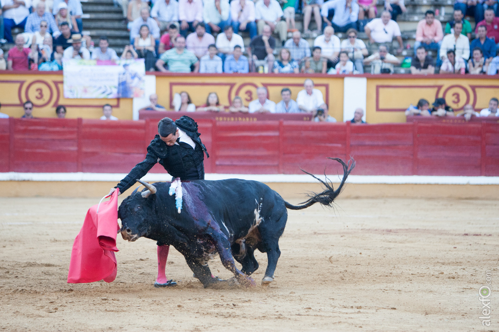 Jose María Manzanares - Toros Badajoz Feria de San Juan 2015 _44X2162