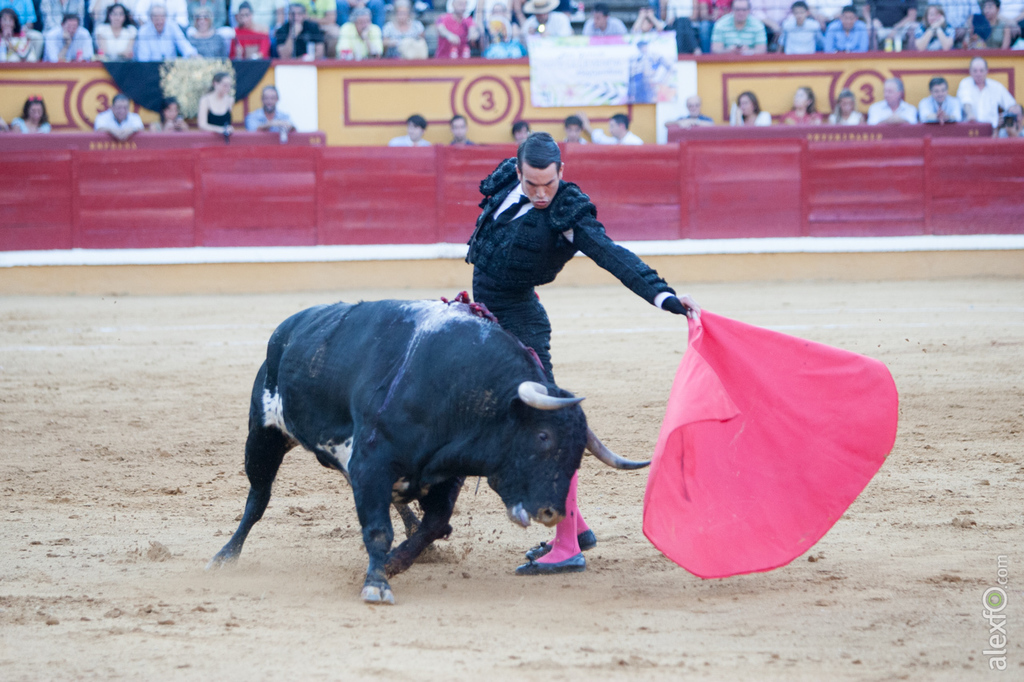 Jose María Manzanares - Toros Badajoz Feria de San Juan 2015 _44X2187-2