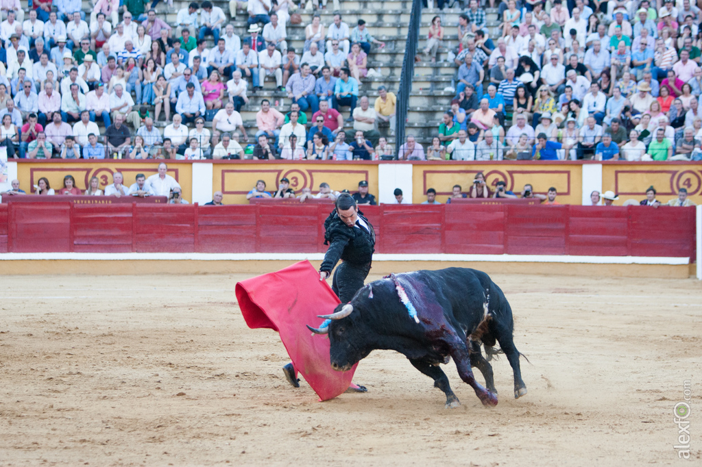 Jose María Manzanares - Toros Badajoz Feria de San Juan 2015 _44X2225
