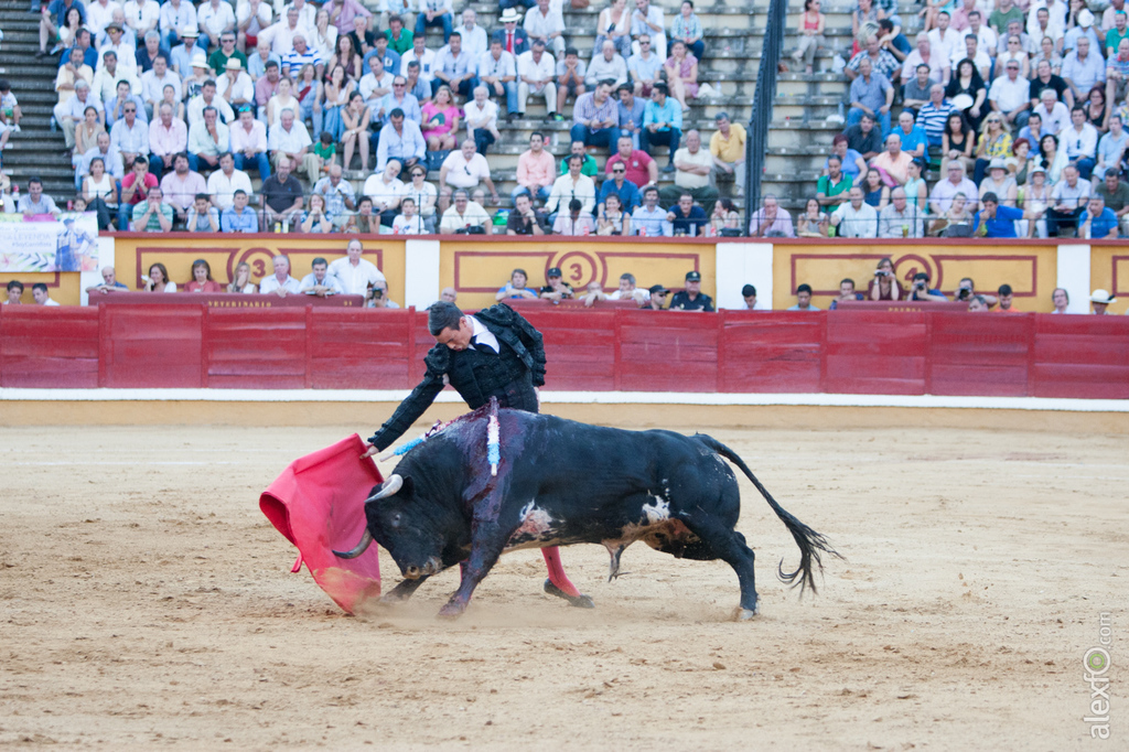 Jose María Manzanares - Toros Badajoz Feria de San Juan 2015 _44X2231-2