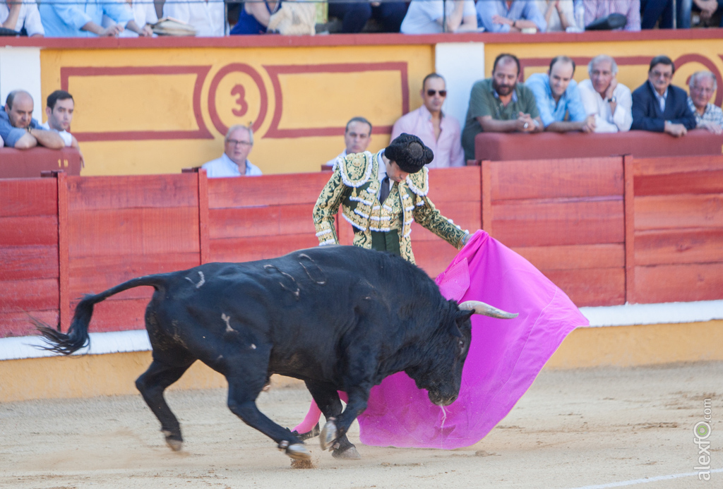 Miguel Ángel Perera - Toros San Juan Badajoz 2015 _44X0533