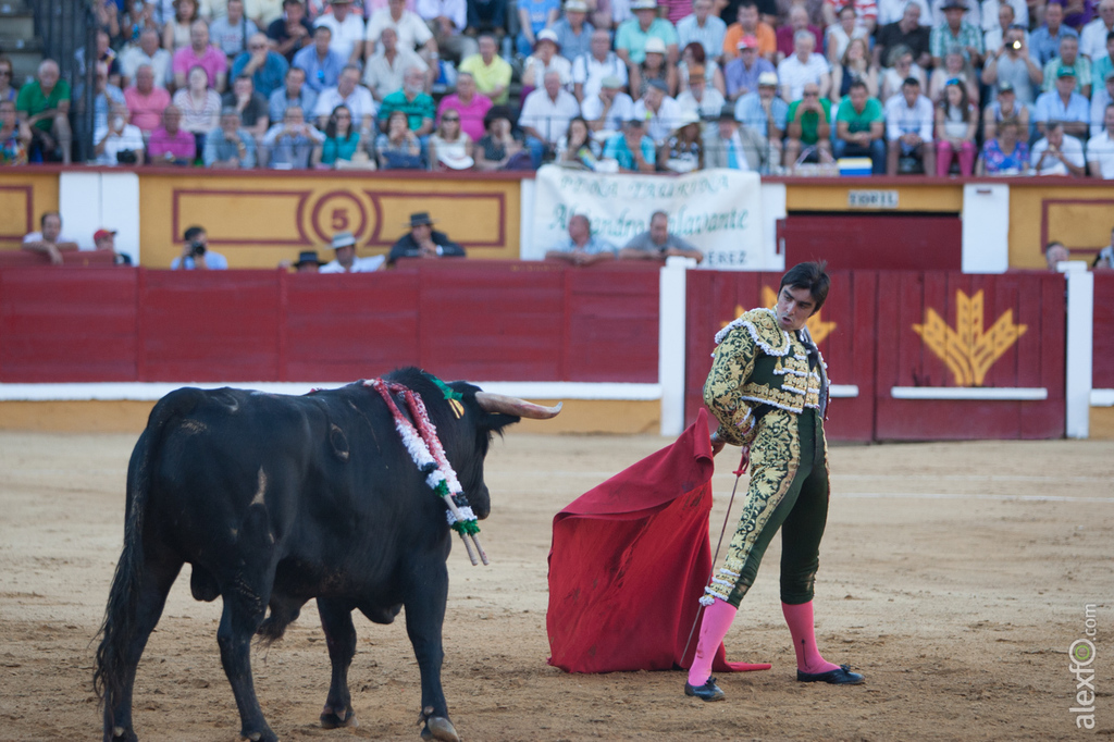 Miguel Ángel Perera - Toros San Juan Badajoz 2015 _44X1104