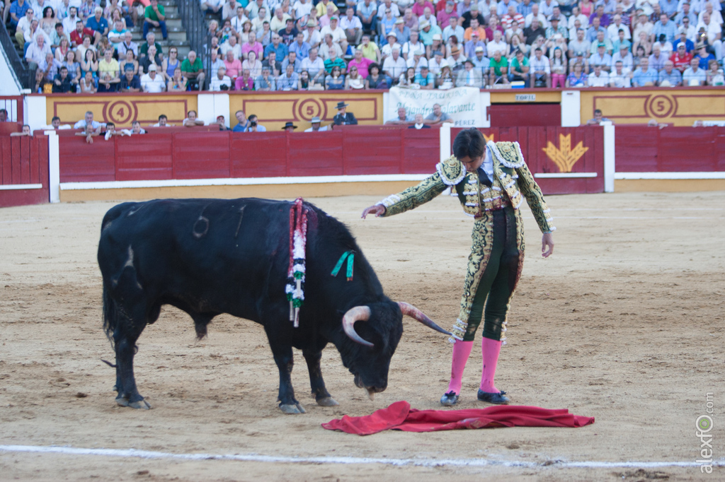 Miguel Ángel Perera - Toros San Juan Badajoz 2015 _44X1156