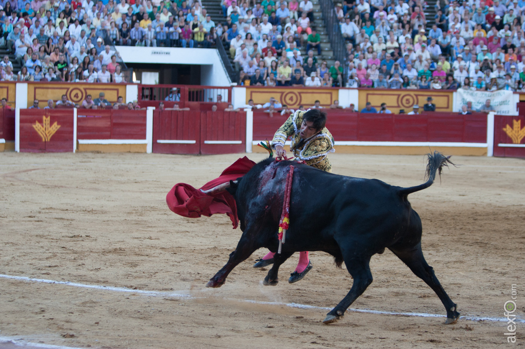Miguel Ángel Perera - Toros San Juan Badajoz 2015 _44X1169