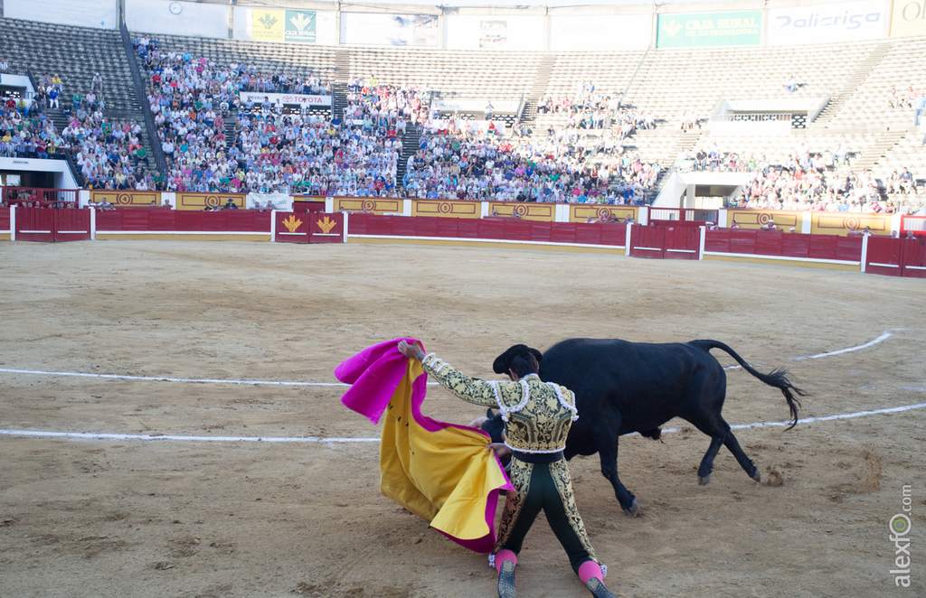Miguel Ángel Perera - Toros San Juan Badajoz 2015 _DSF9701