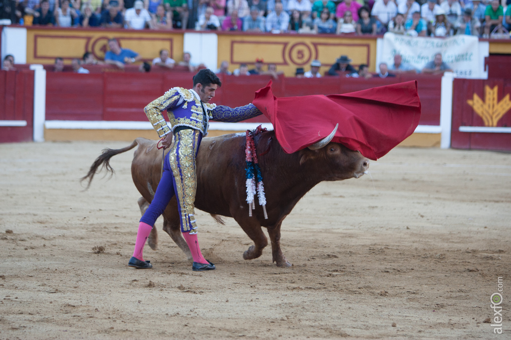 Alejandro Talavante - Toros Badajoz San Juan 2015 _44X1258