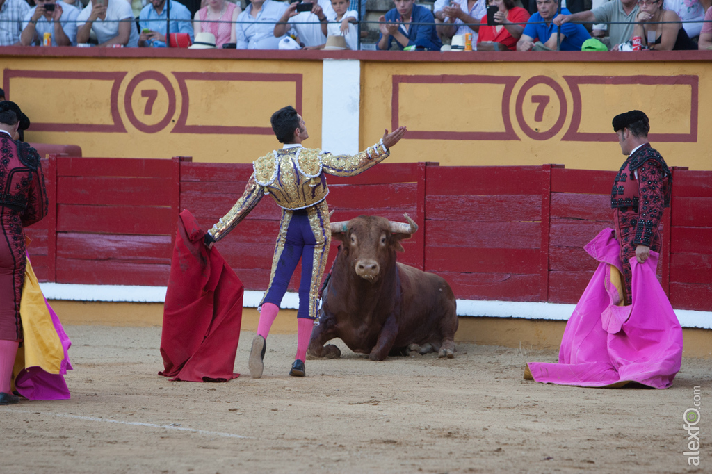 Alejandro Talavante - Toros Badajoz San Juan 2015 _44X1399
