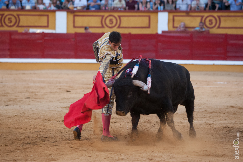 Saúl Jiménez Fortes - Toros Badajoz San Juan 2015 _44X9791