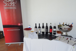 Presentación Primavera Enogastronómica 2015 - Cáceres Capital Española Gastronomía DSC09098