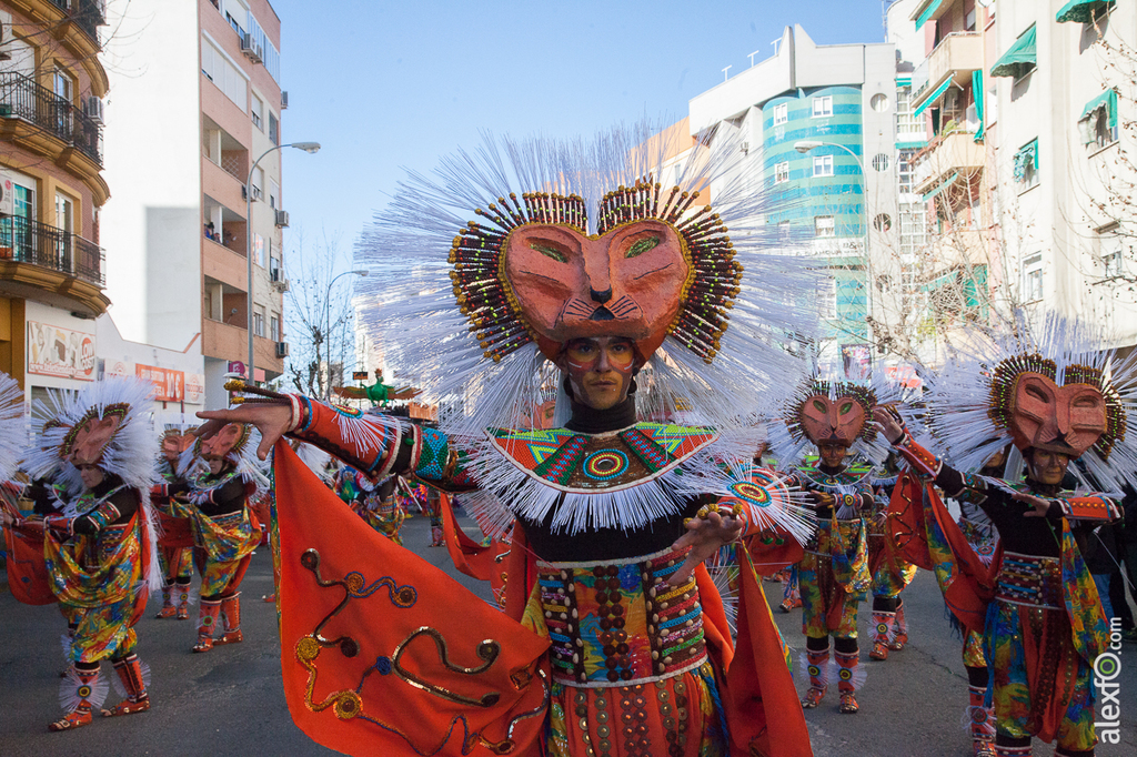 Entierro de la Sardina - Carnaval Badajoz 2015 IMG_9164