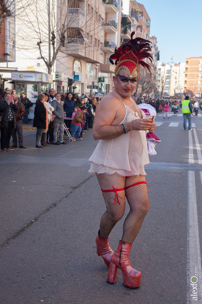 Entierro de la Sardina - Carnaval Badajoz 2015 IMG_9111