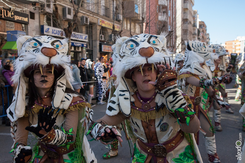 Entierro de la Sardina - Carnaval Badajoz 2015 IMG_9103