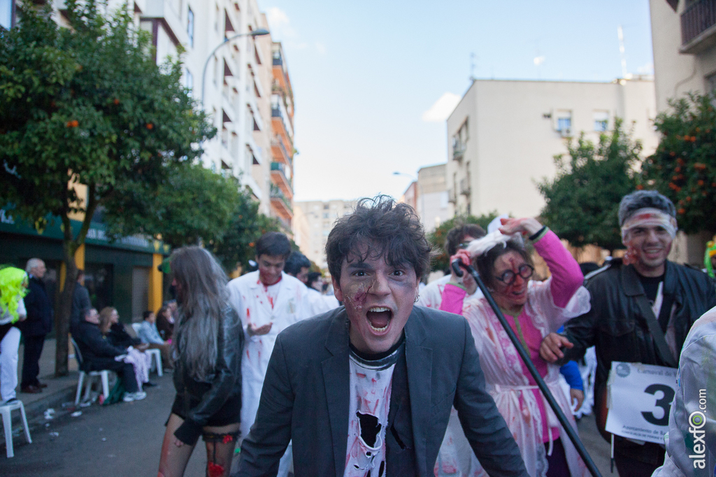 Grupos Menores - Carnaval Badajoz 2015 IMG_8604