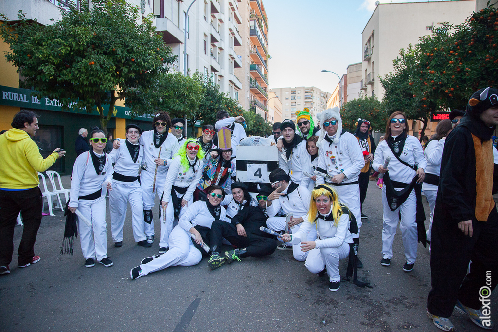 Grupos Menores - Carnaval Badajoz 2015 IMG_8610