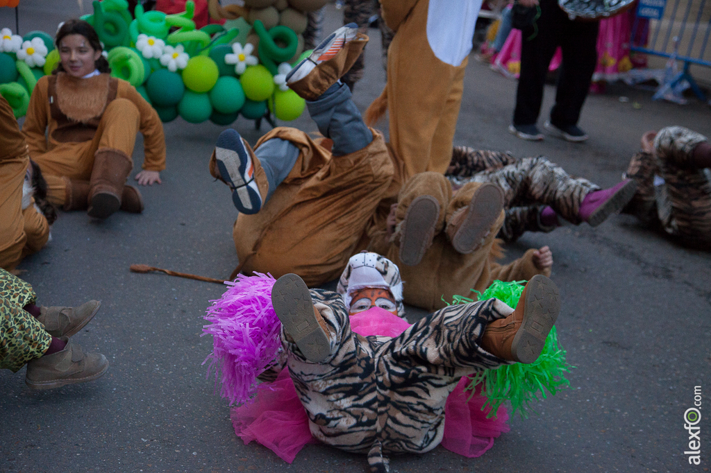Comparsa Riau-Riau - Carnaval Badajoz 2015 IMG_8554