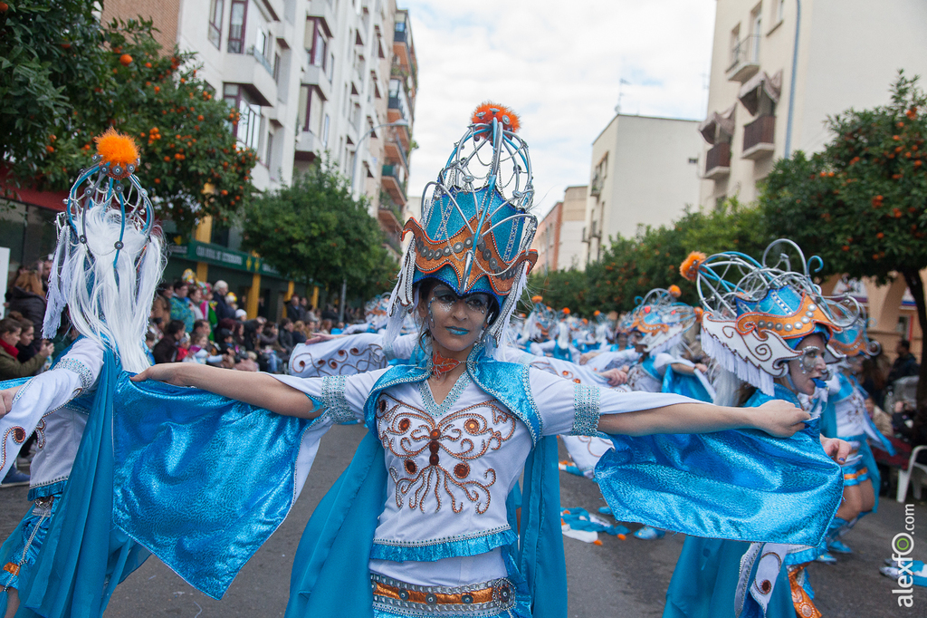 Comparsa Los Colegas - Carnaval Badajoz 2015 IMG_7959