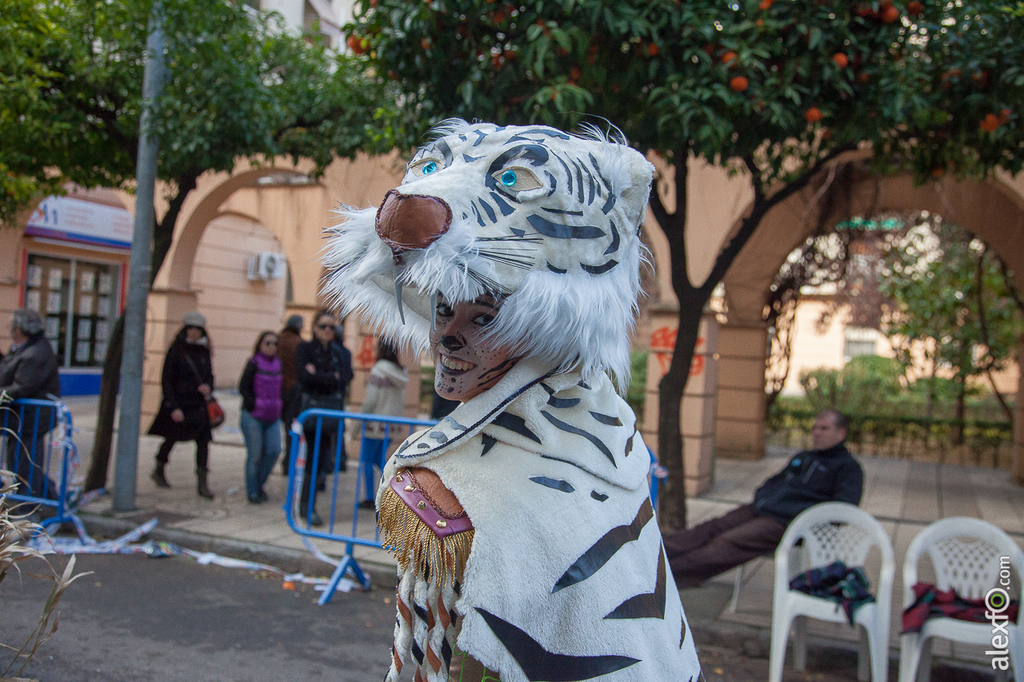 Comparsa Cambalada - Carnaval Badajoz 2015 IMG_7859