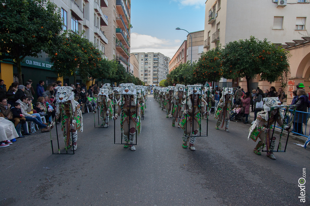 Comparsa Cambalada - Carnaval Badajoz 2015 IMG_7862