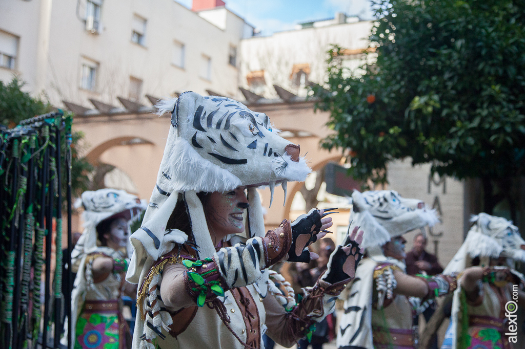 Comparsa Cambalada - Carnaval Badajoz 2015 IMG_7872