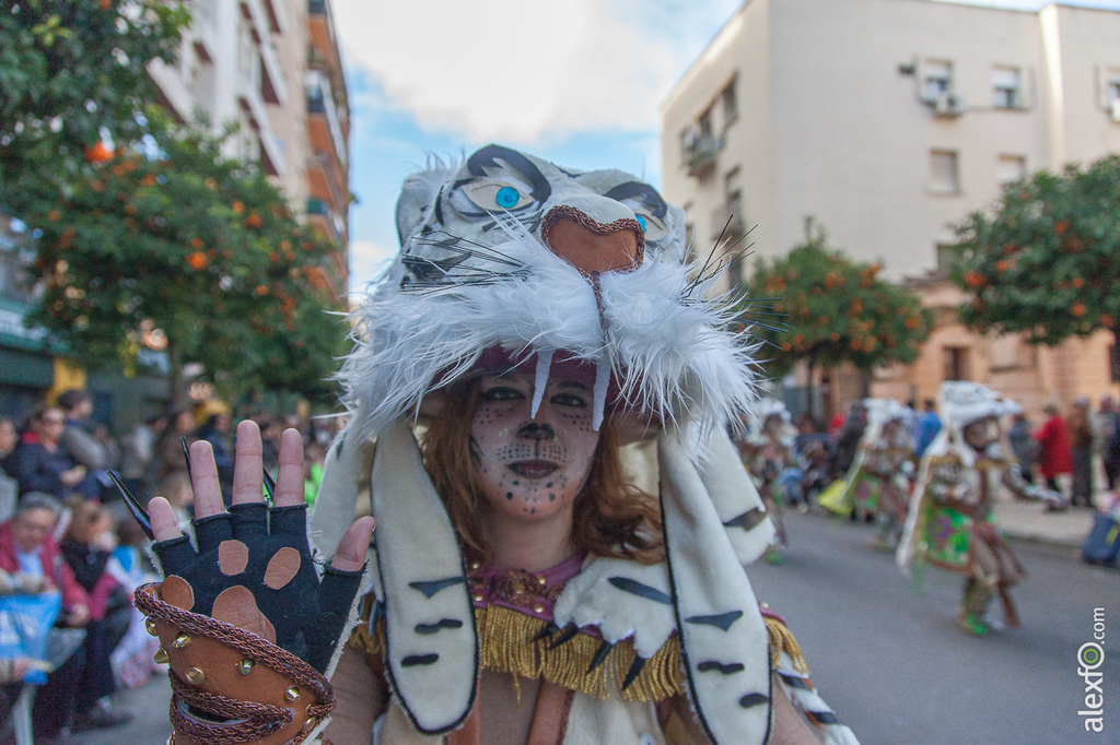 Comparsa Cambalada - Carnaval Badajoz 2015 IMG_7875